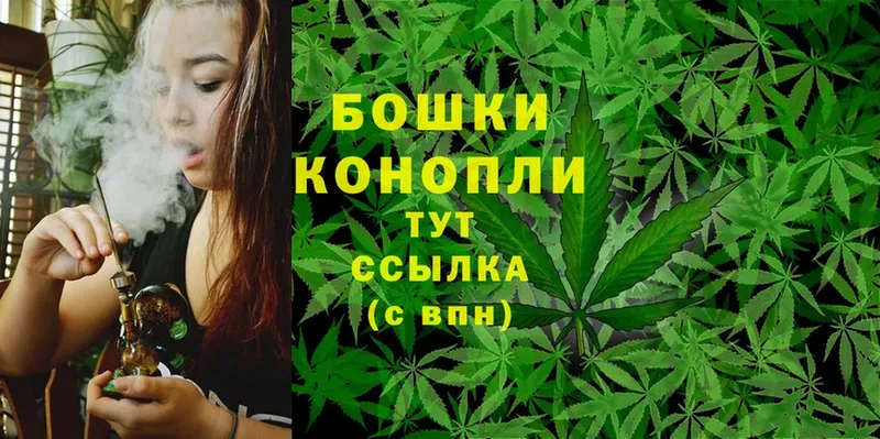 Конопля THC 21%  Новопавловск 